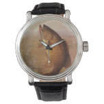 Vintage Sports Fishing, Largemouth Brown Bass Fish Watch