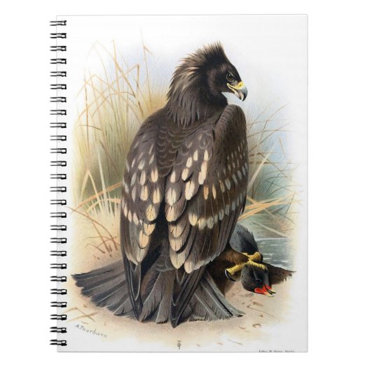 Vintage Spotted Eagle Notebook