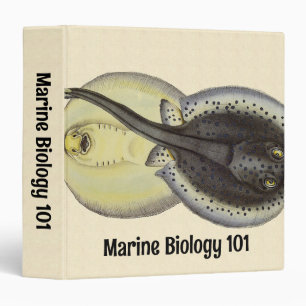 Vintage Spotted Stingrays, Marine Ocean Animals 3 Ring Binder