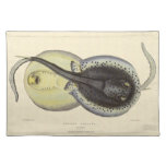 Vintage Spotted Stingrays, Marine Ocean Animals Cloth Placemat