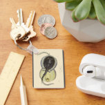 Vintage Spotted Stingrays, Marine Ocean Animals Keychain