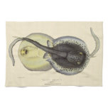Vintage Spotted Stingrays, Marine Ocean Animals Kitchen Towel