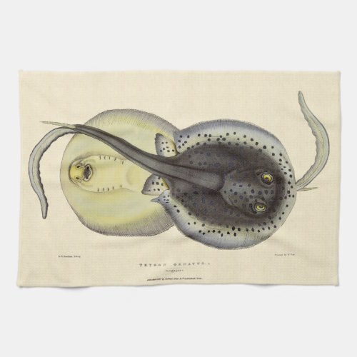 Vintage Spotted Stingrays Marine Ocean Animals Kitchen Towel