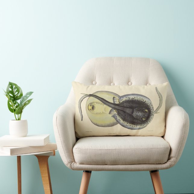 Vintage Spotted Stingrays, Marine Ocean Animals Lumbar Pillow (Chair)