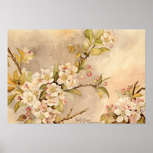 Vintage Spring Blossoms Poster (Front)