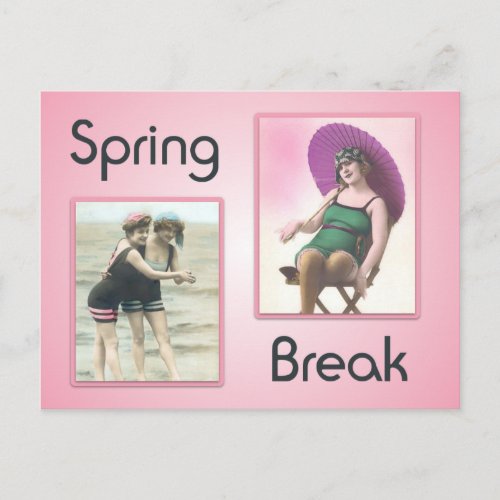 Vintage Spring Break Beach Babes Postcard