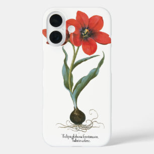Vintage Spring Red Tulip Garden Flower by Besler iPhone 16 Case