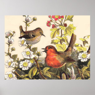 Vintage Spring Robin Songbirds Botanical Floral Poster