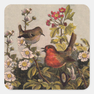 Vintage Spring Robin Songbirds Botanical Floral Square Sticker