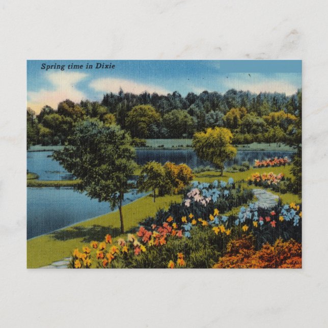 Vintage Spring Time In Dixie Postcard (Front)