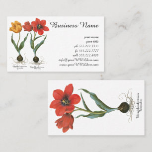 Vintage Spring Tulip Flowers by Basilius Besler Business Card