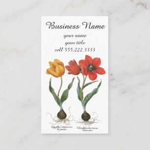 Vintage Spring Tulip Flowers by Basilius Besler Business Card