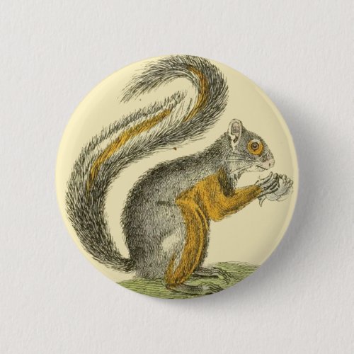 Vintage Squirrel Button