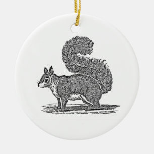Vintage Squirrel Illustration - 1800's Squirrels Ceramic Ornament