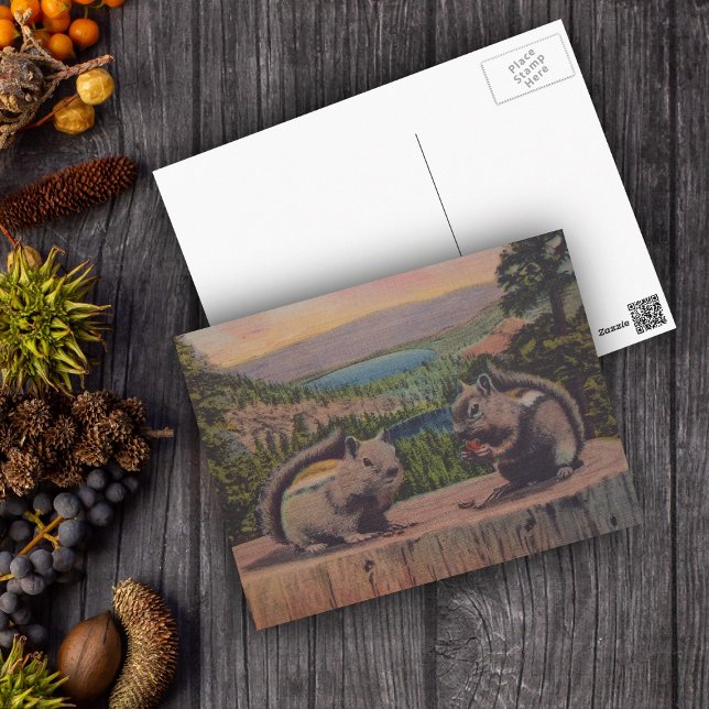 Vintage Squirrel Mountain Scene Postcard (Two chipmunks eating nuts on tree stump in forest with lake on postcard.)