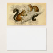 Vintage Squirrel Print (Front & Back)