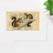 Vintage Squirrel Print (Desk)