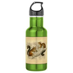 Vintage Squirrel Print Water Bottle