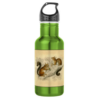 Vintage Squirrel Print Water Bottle