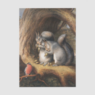 Vintage Squirrels and Bird Woodland Forest Art Tissue Paper