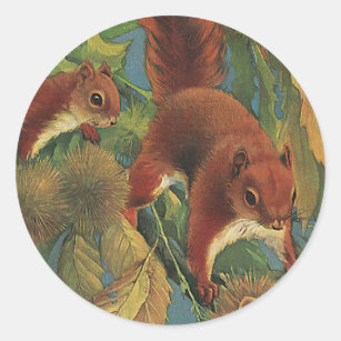 Vintage Squirrel Stickers Zazzle