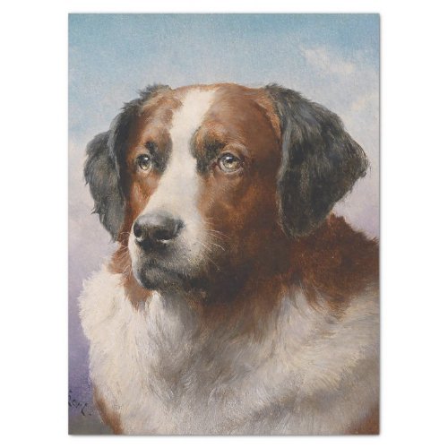 Vintage St Bernhard Dog Portrait Tissue Paper