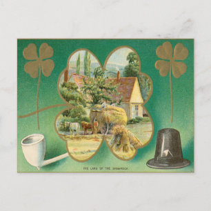 Vintage St. Patrick's Day Postcard
