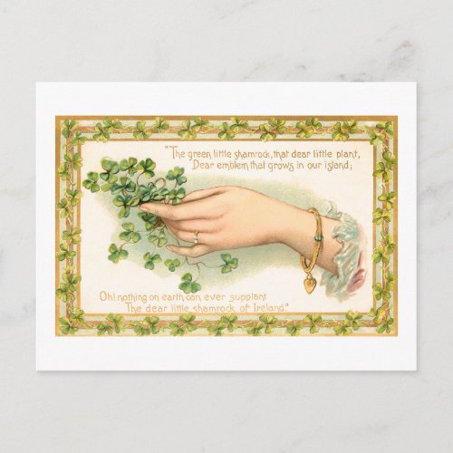 Vintage St Patricks Day Shamrocks Postcard