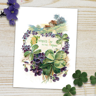 Vintage St. Patrick's Day Shamrocks & Violets Postcard