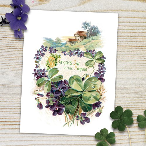 Vintage St Patricks Day Shamrocks  Violets Postcard