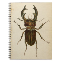 Vintage Stag Beetle Colour Illustration Notepad / Notebook
