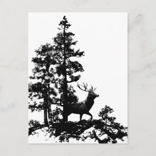 Vintage Stag Deer Black White Animal Postcard