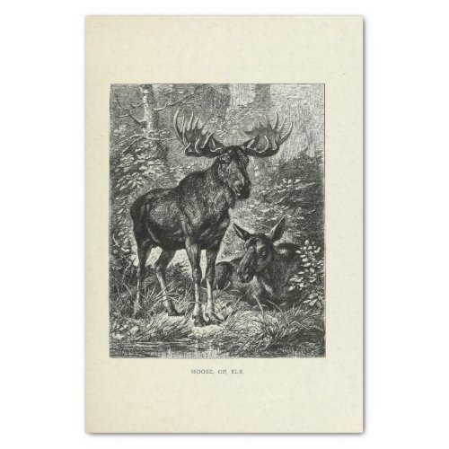 Vintage Stag Moose Ephemera Decoupage Tissue Paper