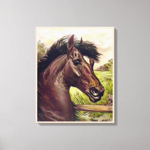 VINTAGE STALLION HORSE PORTRAIT STRONG HORSE FACE CANVAS PRINT