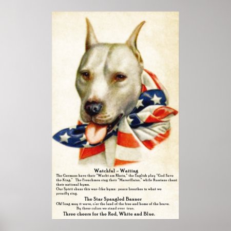 Vintage Star Spangled Banner Pit Bull Dog 2 Poster