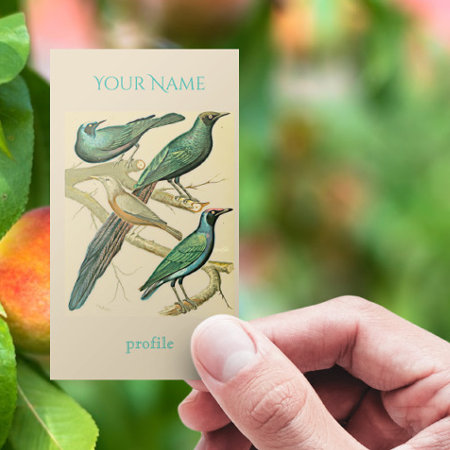 Vintage Starlings And Mynah Birds Business Card