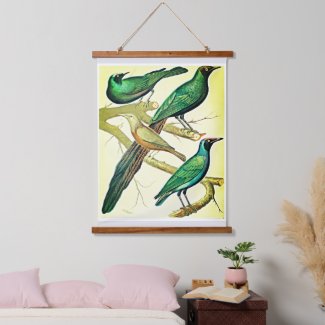 vintage starlings and mynah birds 