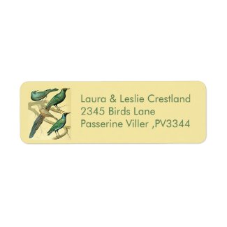 vintage starlings and mynah birds label