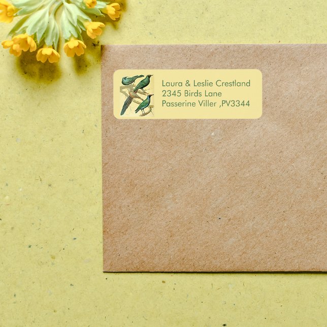 vintage starlings and mynah birds label (Creator Uploaded)