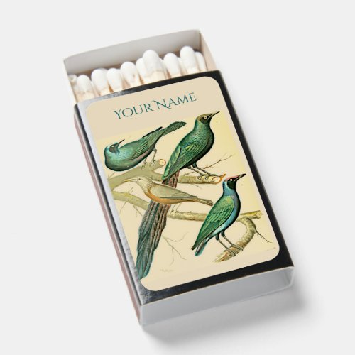 vintage starlings and mynah birds  matchboxes