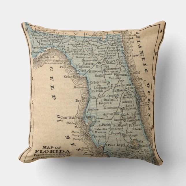 Vintage State of Florida Map Pillow (Front)