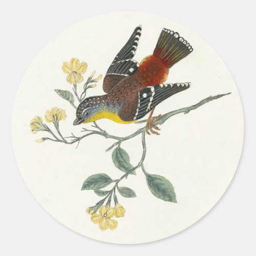 Vintage Stickers Bird Classic Round Sticker