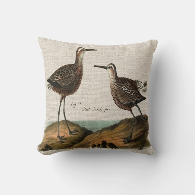 Vintage Stilt Sandpipers Throw Pillow (Front)