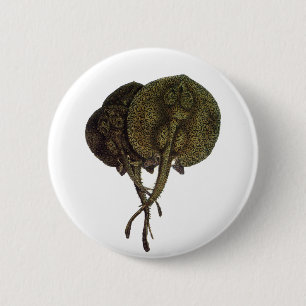 Vintage Sting Rays Stingrays, Marine Life Animals Button