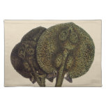 Vintage Sting Rays Stingrays, Marine Life Animals Cloth Placemat