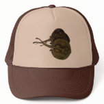 Vintage Sting Rays Stingrays, Marine Life Animals Trucker Hat