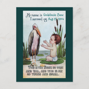 Vintage Stork With New Baby in Pond Announcement Postcard
