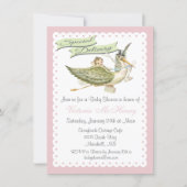Vintage Storybook Stork Baby Shower Invitations (Front)