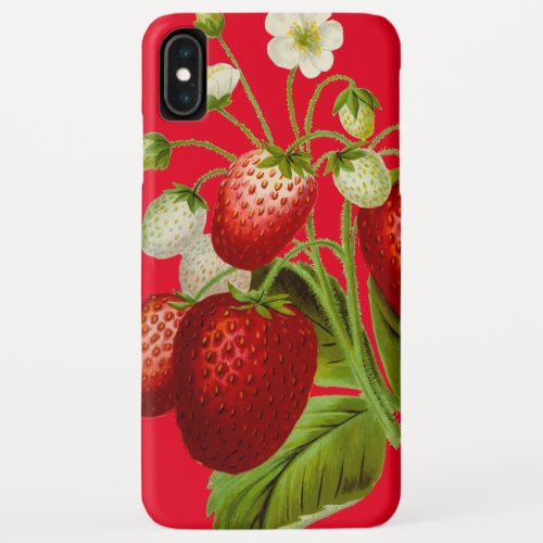 Vintage Strawberries Botanical Illustration iPhone XS Max Case