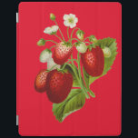 Vintage Strawberries Botanical Illustration iPad Smart Cover<br><div class="desc">A vintage botanical illustration from a botany textbook featuring strawberries.</div>